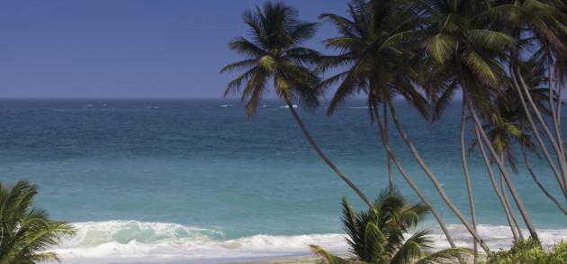 Май в Доминикане - начало влажного климатического лета, становится жарче, но осадки почти не беспокоят отдыхающих