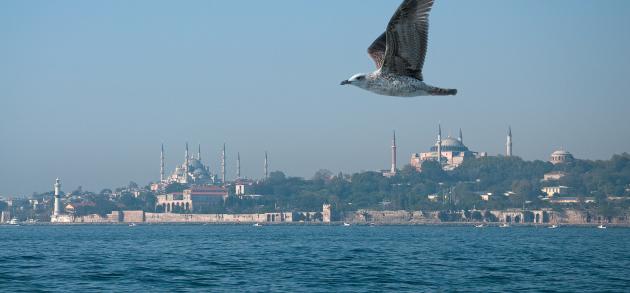 В июле в Стамбуле солнечно и жарко, на небе ни облачка
