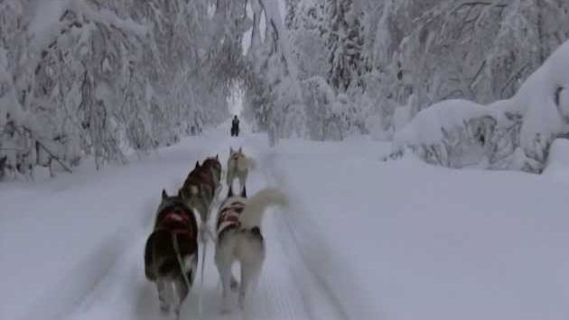 Январь: Finland, January 2012