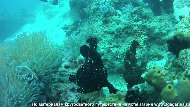 Март, Филиппины: Дайвинг на Филиппинах (Панглао)