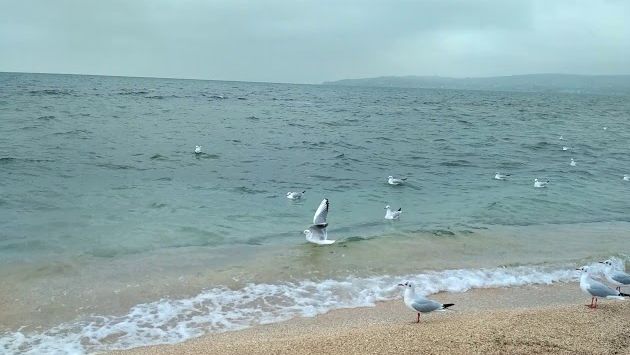 Море. Феодосия. Ноябрь 2017