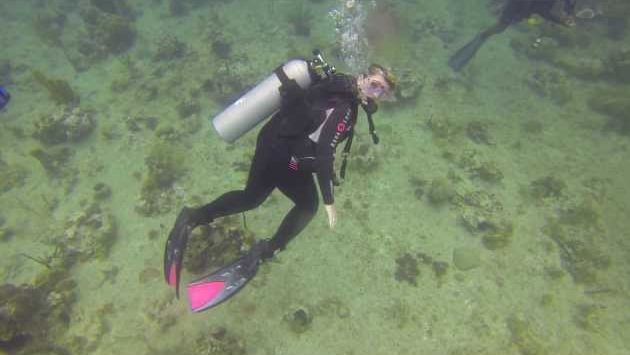 Доминикана, Февраль: Scuba Diving Catalina Island Dominican Republic 1st February 2013