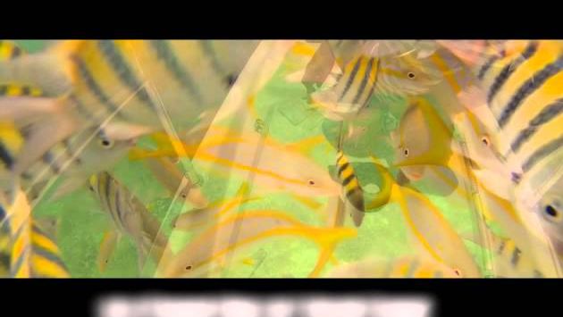 Июнь, Куба: Cuba  Family Vacation - June 2013 -  Cinematic Version.