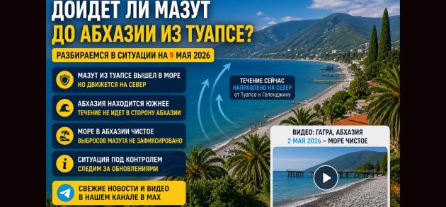 Дойдет ли мазут до Абхазии
