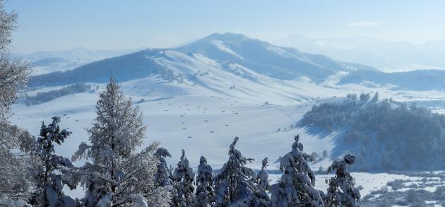 Горный Алтай в декабре: Ярко-синее небо, завораживающие пейзажи  и слепящий белый снег! (pixabay.com / 9891090)