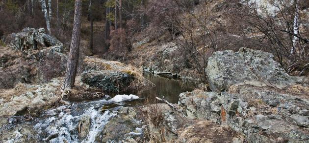 Горный Алтай в апреле встречают весну: вскрываются реки, оживают водопады, зацветает маральник