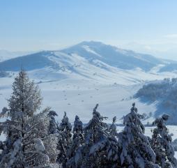 Долгая и холодная зима на Алтае имеет своих поклонников (Фото: 9891090 / pixabay.com)