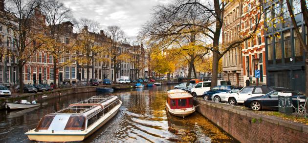 Амстердам в ноябре - время дождей и туманов.. но и без солнца здесь тоже не обходится!