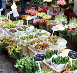 Осеннюю поездку в Амстердам можно приурочить в сентябрькому параду цветов