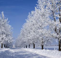 Зима в разных частях Болгария проходит по-разному, встречаются и такие пейзажи!