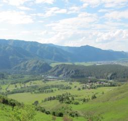 Летние живописные пейзажи Чемала (фото flickr.com / Obakeneko)