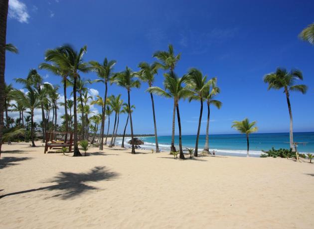 В Доминикане вдоль пляжей часто можн встретить кокосовые рощи..   (Фото © Ted Murphy  / flickr.com)
