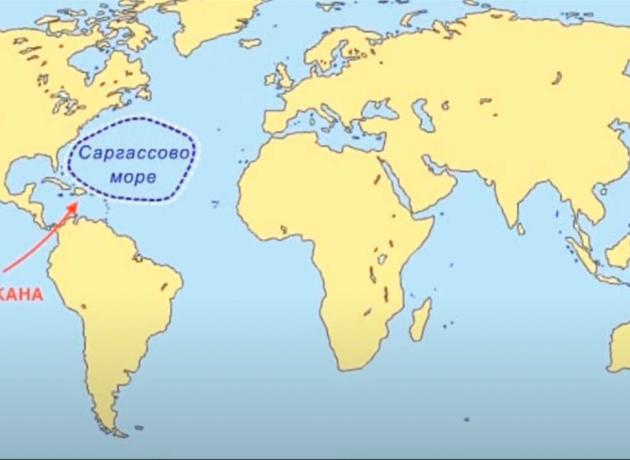 Саргассово море находится северо-восточнее Доминиканы