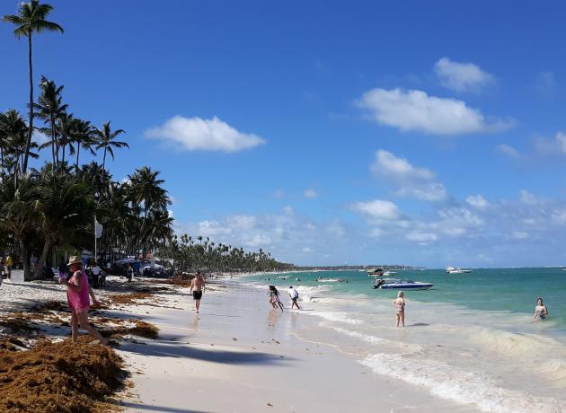 Здесь на пляже в Пунта-Кана больше водорослей, но бывает и еще хуже  (фото flickr.com / quirkyjazz)