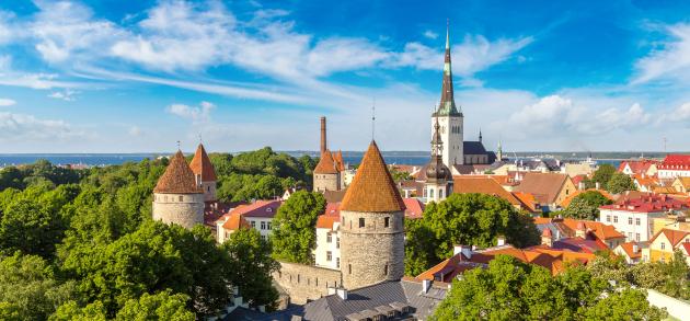 Виза в в Эстонию: необходимые документы, стоимость, сроки изготовления