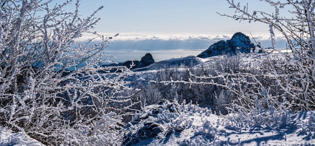 Погода в Евпатории в январе стоит преимущественно прохладная, бывают как пасмурные дни, так и ясные солнечные