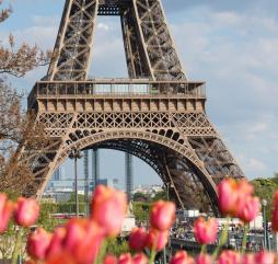Во второй половине весны природа Франции преображается - деревья покрываются лёгкой зелёной дымкой, а на клумбах - буйство  красок 