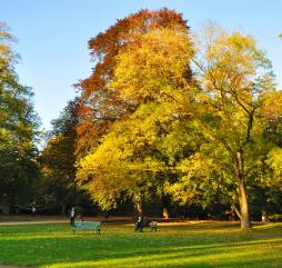 В сентябре в Германии - бархатный сезон, можно подолгу гулять и наслаждаться золотыми красками осени