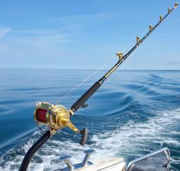 Сезон морской рыбалки в Хорватии приходится на тёплое время года