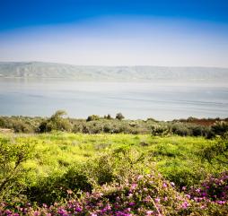 Весна в Израиле, где-то в районе Галилейского Моря