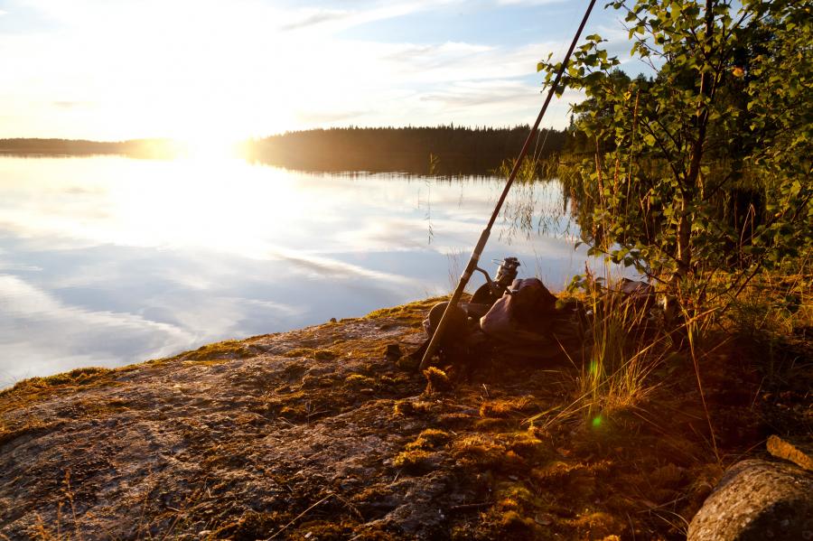 Рыбалка на реке Водла в Карелии: особенности и полезные советы