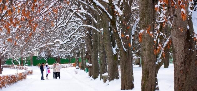 Январь - самый холодный зимний месяц в Кисловодске
