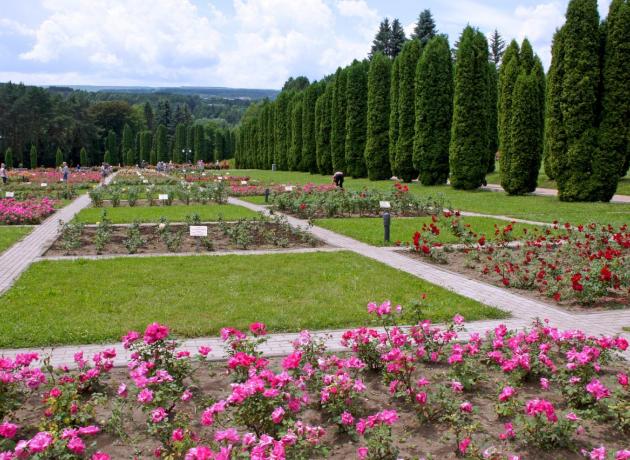 Долина роз – однин из самых любимых уголков в Кисловодске как у туристов, так и у местных (nashaplaneta.net)