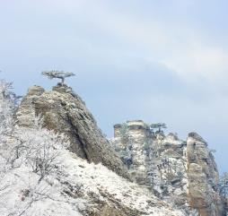 Зима на Крымском полуострове - мягкая, снег характерен лишь для гористой местности