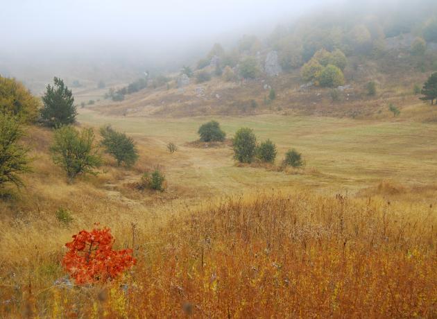 Октябрь в Крыму - очень колоритный месяц! (фото flickr.com / Ekaterina)