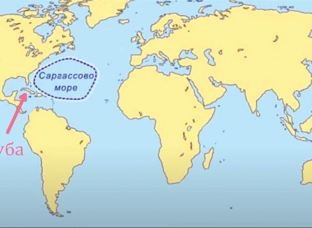 Саргассово море находится северо-восточнее острова Куба
