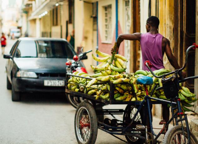 Бананов на Кубе несколько видов (Фото ©  Erin Crouse  / flickr.com)