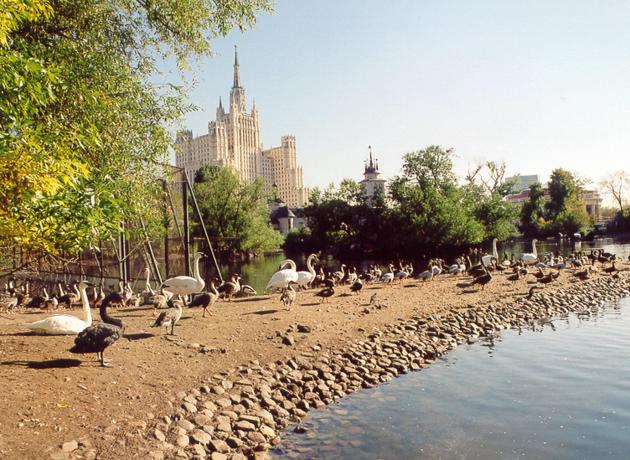 В Москве самые лучшие аквапарки