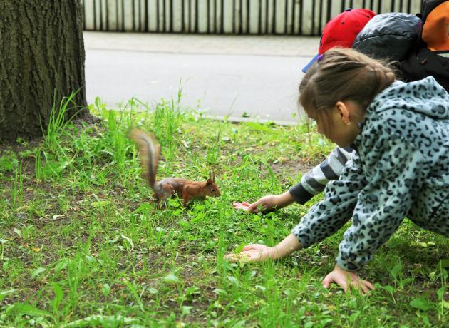 Дети любят кормить животных в лесной части парка: белочек или птиц