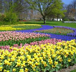 Весна в Нидерландах прохладная, но завораживающая своей красотой