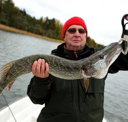 Процесс рыбалки в Нижнем Новгороде принесёт Вам массу удовольствия