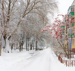 В городе стоит типичная сибирская зима со всеми её ''прелестями''