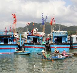 Сезон рыбалки в Нячанге зависит преимущественно не от времени года на календаре, а от фазы луны.