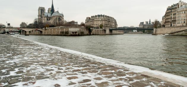 Январь в Париже довольно прохладный и долждливый месяц, нередко в столице выпадает снег