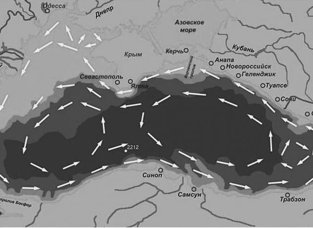 Направление течений в Черном море