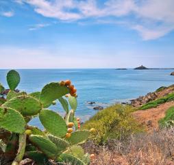 Весна - это ещё не высокий, но уже и не низкий сезон на Сардинии, отдых будет сбалансированным