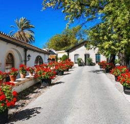 Весной в Севилье вы познакомитесь с максимальным количеством видов цветов и растений, характерных лишь для Испании