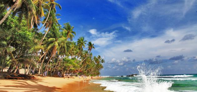 Март - это один из наиболее оптимальных месяцев для посещения Шри-Ланки