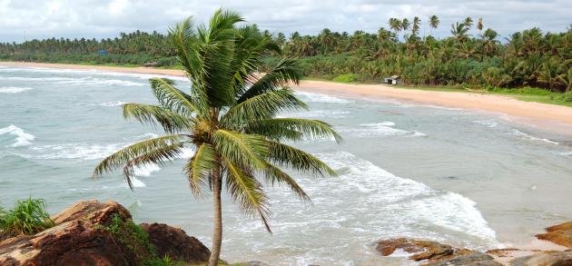 В сентябре можно замечательно отдыхать на северо-восточных курортах Шри-Ланки