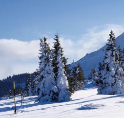 Приехав в Софию зимой, можно заодно и покататься на лыжах