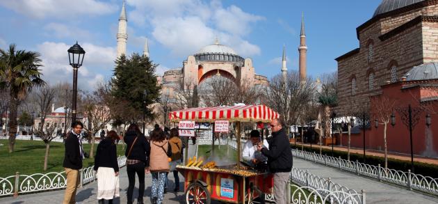 В феврале в Стамбуле промозгло и сыро, но иногда погода преподносит  солнечные сухие деньки