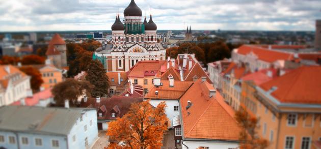 Погода в Таллине в октябре стоит прохладная, хотя нередки и ясные, теплые дни
