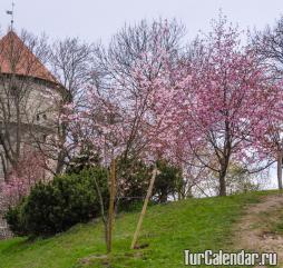 Настоящая весна со свежей зеленью и головокружительными цветочными ароматами приходит в Таллин в начале-середине апреля.