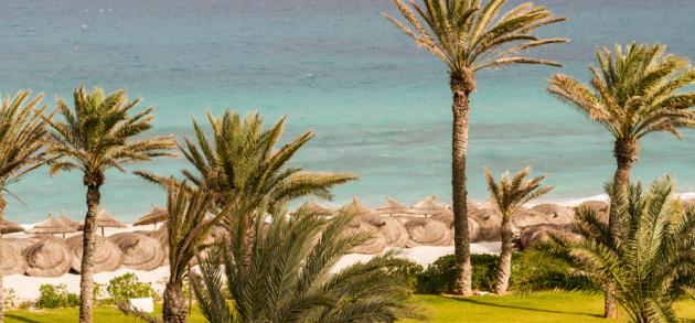 Тунис в мае благоприятен для поездок по стране и принятия солнечных ванн