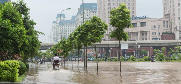 В августе север Вьетнама буквально заливает, в то время как погода юго-восточных областей остаётся более-менее сносной 