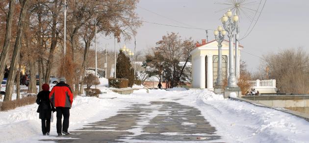 Погода в Волгограде в январе стоит холодная и преимущественно пасмурная